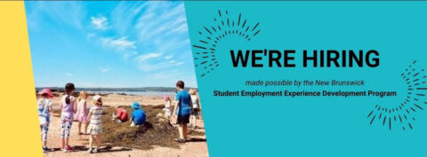 We're Hiring. Made possible by the New Brunswick Student Employment Experience Development Program