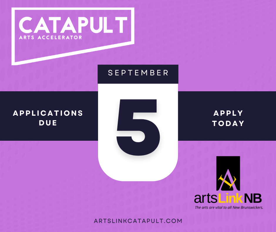 CATAPULT Arts Accelerator. Applications due Septmber 5th. Apply today. artslinkcatapult.com