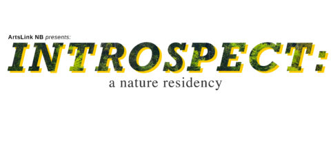 Introspect: a Nature Residency