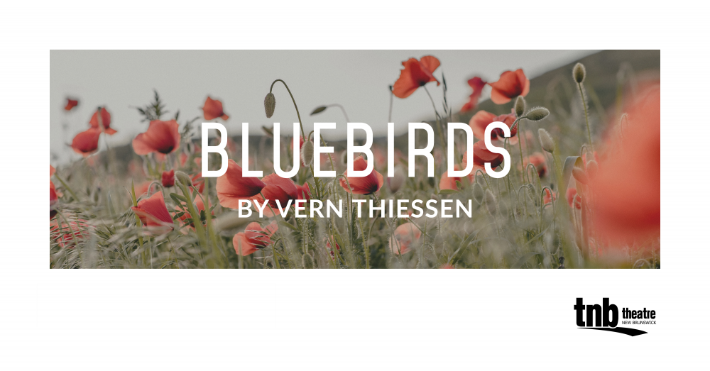 Image of poppies. Text reads, Bluebirds by Vern Thiessen, TNB, Theatre New Brunswick.