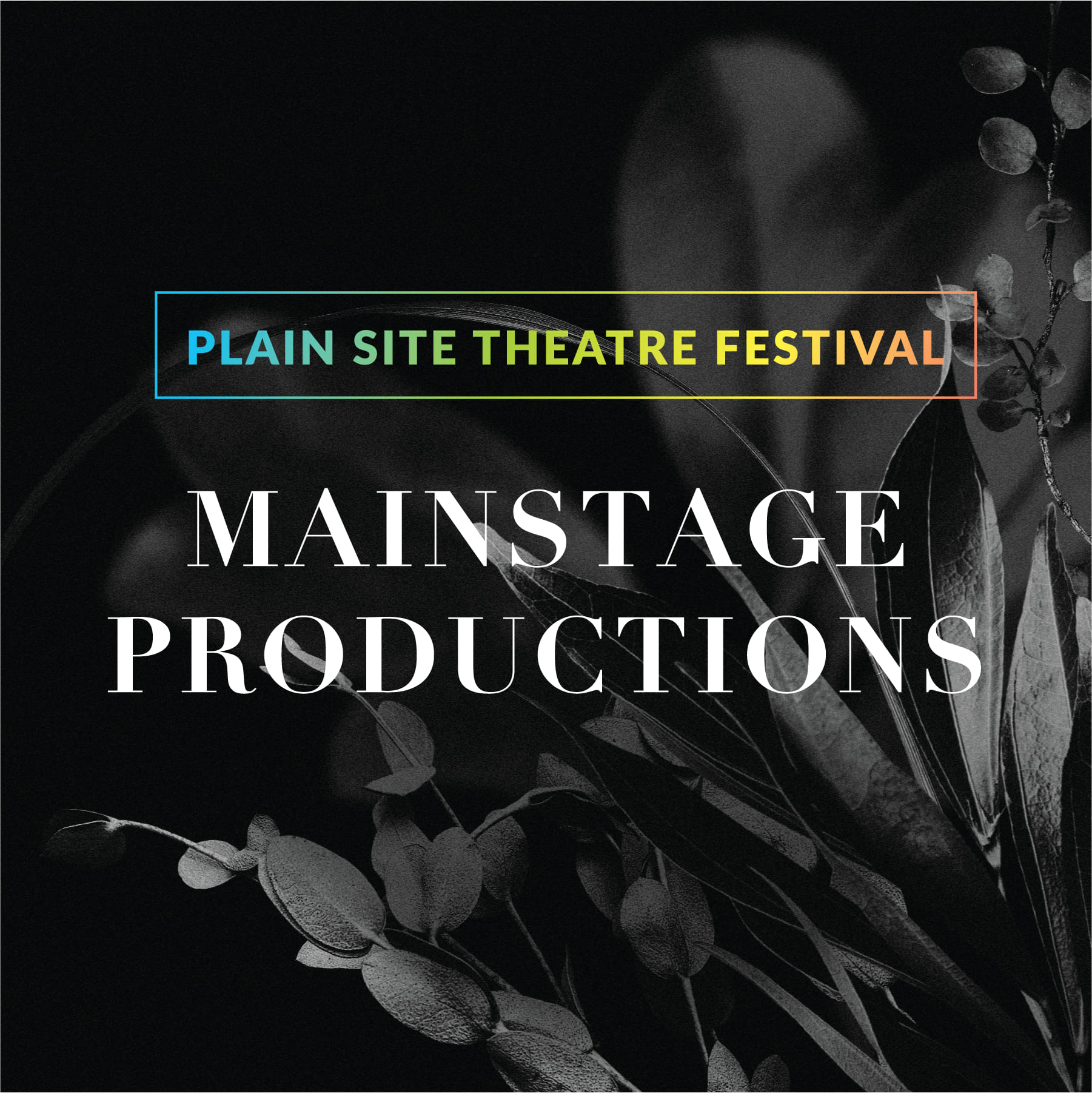 Plain Site Theatre Festival Mainstage Productions