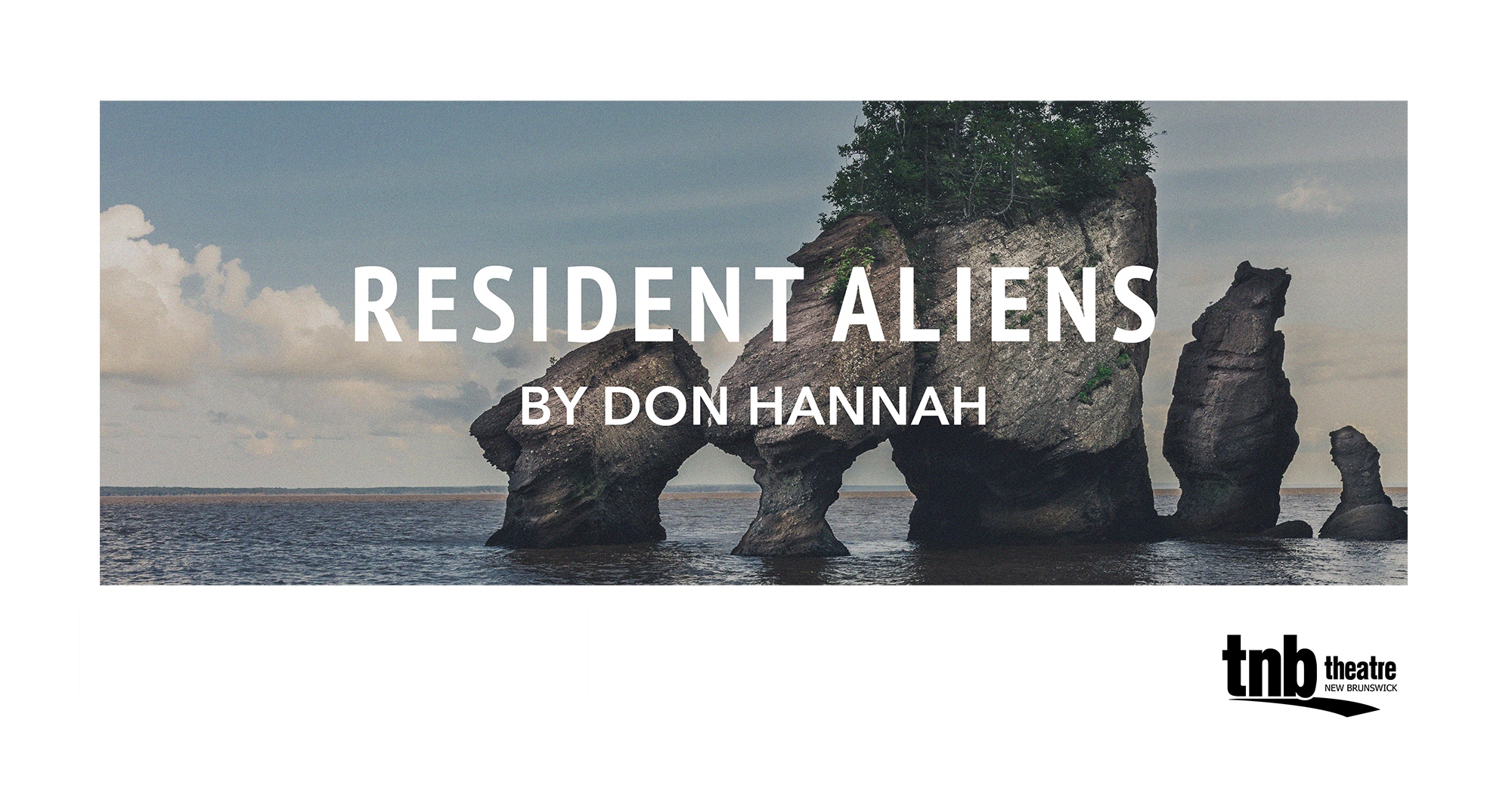 Image of Hopewell Rocks. Text reads: Resident Aliens by Don Hannah.